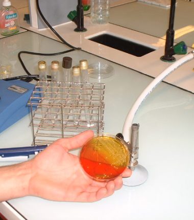 Formations universitaires