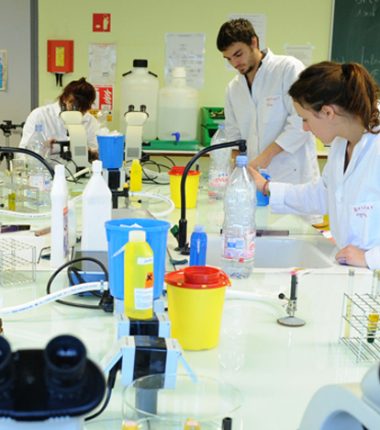 Préparer et former les professionnels de demain