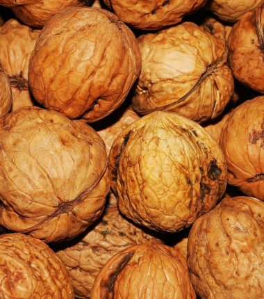 Valorisation des co-produits : le tourteau