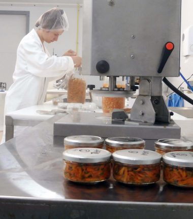 La lacto-fermentation des légumes